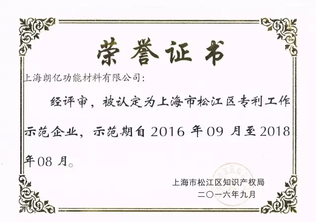 2016年松江区专利工作示范企业