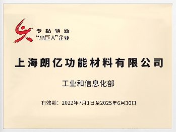 国家级专精特新小巨人企业