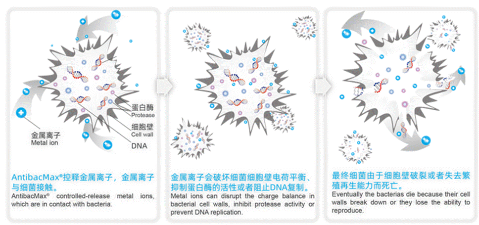 a978e6ed08ea5ec69b44446779552168