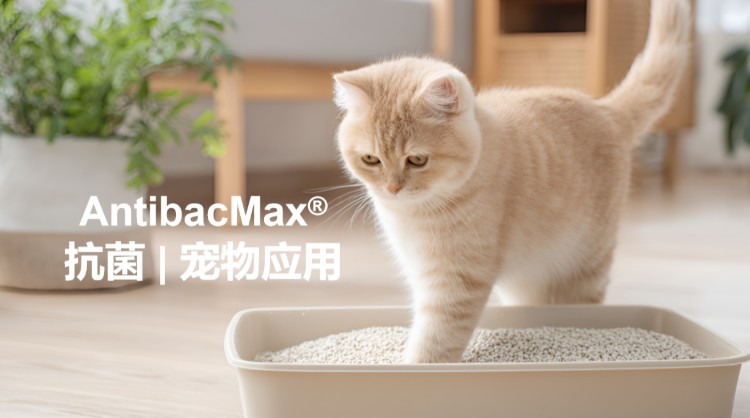 AntibacMax®抗菌防病毒解决方案 | 守护宠物与家庭双重健康！