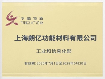 国家级专精特新小巨人企业